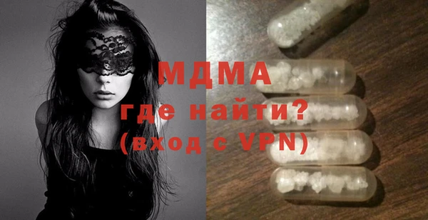 индика Алексин