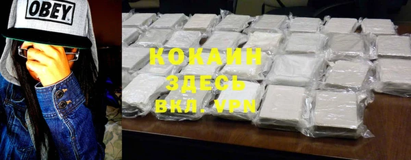 индика Алексин